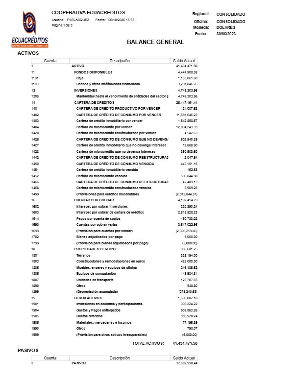Vista previa del Balance General a junio de 2026
